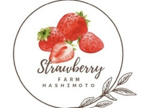 🏆全国いちご選手権銅賞　濃厚な品のある甘み　古都華　270g×2パック いちご　奈良県　ことか　橋本農園　【いちご】