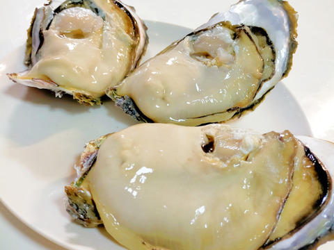 【生食】ミネラルたっぷり岩牡蠣(10個入)島根町　築島産
