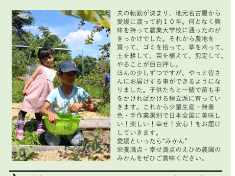 農家のつまみ食い　愛果48号(別名 紅ぷりんせす) ハヤドレ(早採れ)　約３キロ