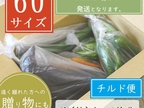 おまかせ採れたて新鮮な夏野菜のセット　4〜6品目