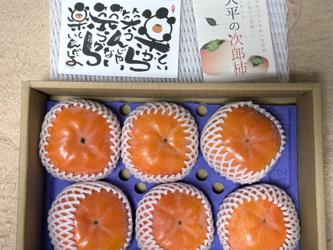 【12月上旬発送】幻の柿 次郎柿！木成り完熟の逸品６個入り（1.5ｋｇ）