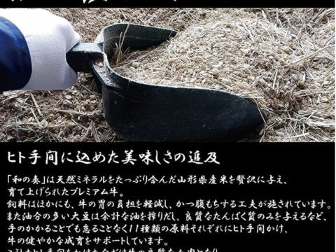 『お買い得』山形県産のお米で育った黒毛和牛『和の奏』牛すじ4kg