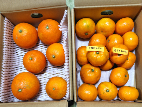 まどんな（ご家庭用・２㎏）+夕やけみかん（ご家庭用・２㎏）