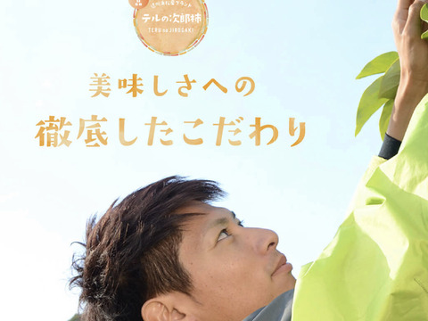 【冬ギフトお歳暮用！】長生き次郎柿『長寿郎』大きい3Lサイズ6玉入り