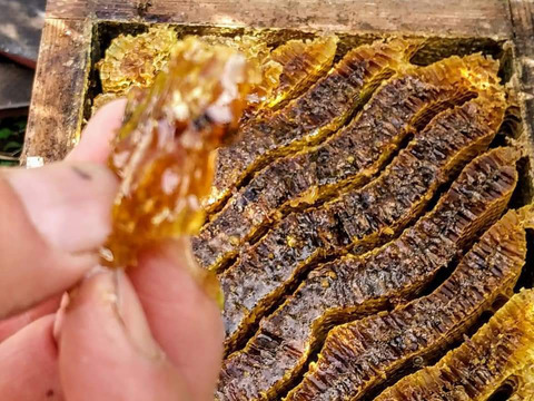 【母の日ギフト】日本ミツバチの生蜂蜜90ｇ、ふかざわ農園こだわりのジャム2種セレクト 梅シロップ　バタフライピー　母の日ギフト用に包装します！　熨斗対応します