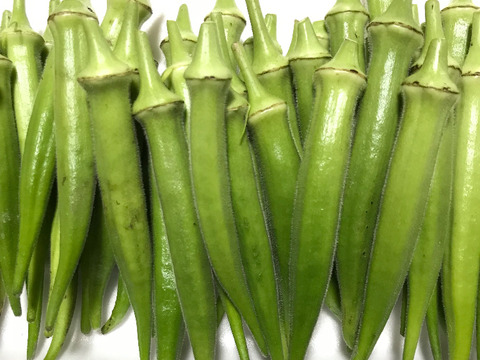 やわらか！丸オクラ１０００グラム