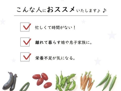 おまかせ採れたて新鮮な夏野菜のセット　4〜6品目