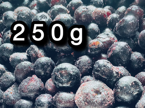 【道産自然栽培】冷凍ブルーベリー•250g（古参品種ミックス）※まとめ買い対応