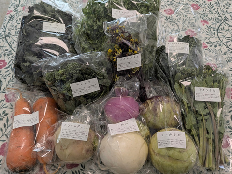 【イチオシBOX】畑の今をお届け！SPIRA FARM BOX　—旬の野菜セット—（10-12品目）★レシピ付き★