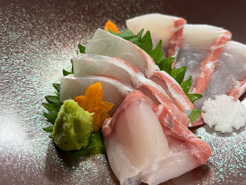 脂たっぷり！チョウザメ切り身（冷凍1kg）兵庫県香美町小代の大自然で育ったチョウザメ