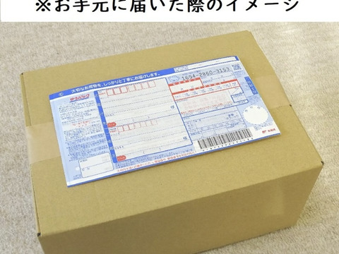 おまかせ採れたて新鮮な夏野菜のセット　4〜6品目