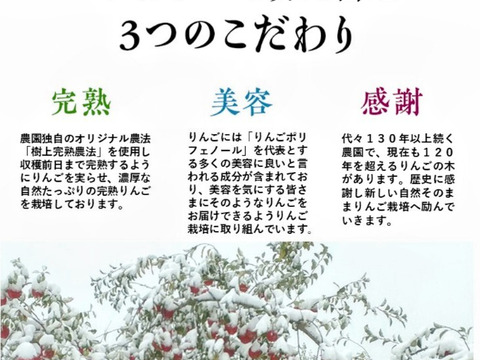 青森県産りんご『 人気の為りんご1個増量』
糖度１３%以上　 家庭用　雪完熟極み葉とらずサンふじ
約３kg１２個入り