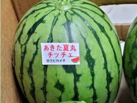 甘い！うまい！可愛い小玉スイカ！残暑・お彼岸向け＜１個＞