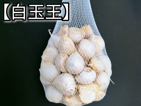 初出品記念先着100名様特価!】訳あり☆送料一律☆R7年産 初出品記念先着100名様特価!】訳あり☆送料一律☆R7年産
