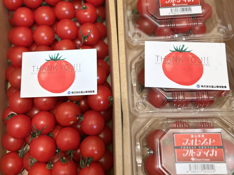 濃厚な旨味！酸味・甘味のバランス抜群！最高峰のミニトマト『フォレストフルティカ』130g×3パック（箱入り）