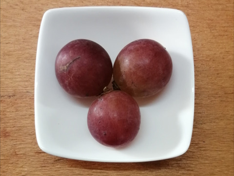 🦺希少品種🍇天候被害SOS🦺　　
　　　　　　　　🌿果汁タップリ🔴紅伊豆🌿　
　　 　　　　　【訳アリ紅伊豆の粒/約450g×2P程度】