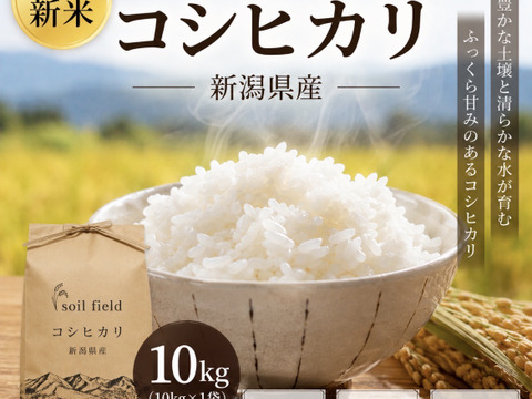 新潟県産コシヒカリ《白米10k》