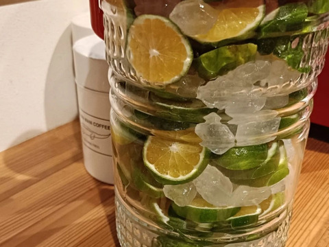 【青い高根島みかん】10月の摘果みかん【2kg】