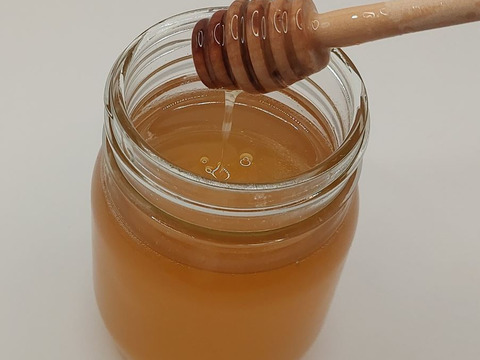 【伝えたい味】自然入居🐝ニホンミツバチの天然はちみつ（非加熱・手しぼり／360g）🍯
