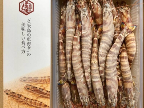 【中サイズ1kg】沖縄久米島のプリっと鮮度抜群!!活〆急速冷凍車海老(500g/25〜29尾/約14cm×2パック/中)【沖縄久米島ブランド車海老】【お刺身可能】】【熨斗対応可能】