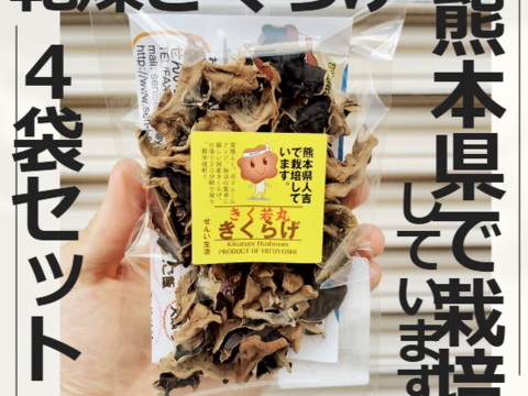 熊本県人吉産🐻4袋 x S20g 乾燥きくらげ たっぷり ポスト投函【20g×4袋】(熊本県産・人吉)