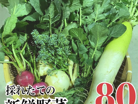 採れたての新鮮野菜を80サイズでお届けします。