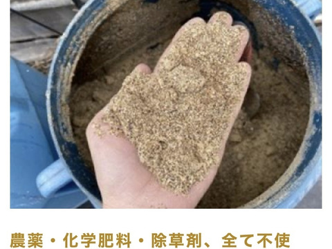 【数量限定】最旬の1品おまけ付！農薬不使用野菜セット(9品)/レシピ付き