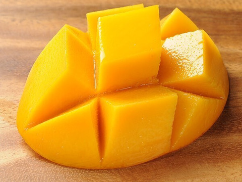 南国鹿児島産　完熟アップルマンゴー（約500g）＆　生ライチ（6個）　お試しセット