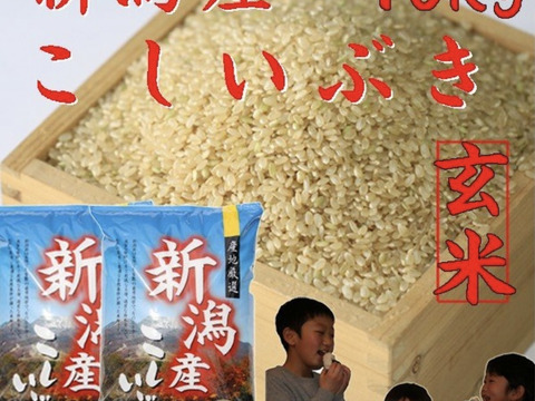 新米　新潟県産　こしいぶき  玄米  10キロ  令和5年産　お米　(kosiibuki-10kg-genmai)