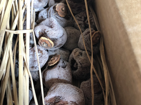 干し柿★天日干し&無添加！4パック入り(長野県産)