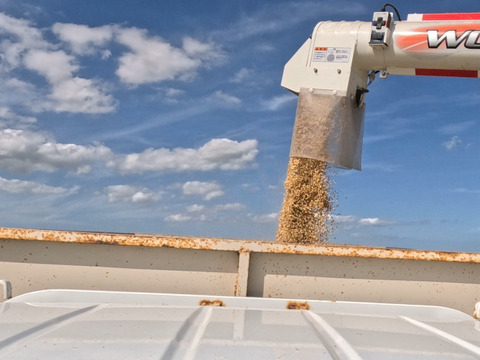 まだ間に合うクリスマス☆絶対喜ばれるおしゃれな【冬ギフト】香取市産コシヒカリ300g×3P