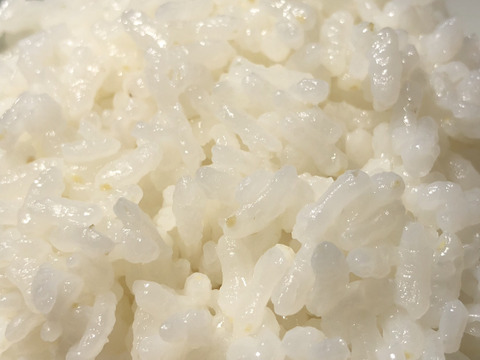 【新米】特別栽培・白米3kg 超大粒“米王”‼️甘くてモチモチ、香りの良い能勢天神米「いのちの一粒」（品種名:いのちの壱）。