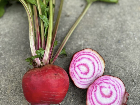 農薬不使用！『ゴルゴビーツ』2個セット