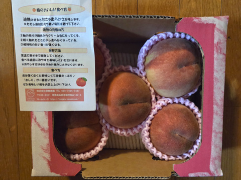 🍑桃の王様 川中島白桃 1.5kg 5玉前後 8月下旬 採れたて農家直送【朝