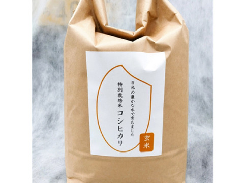 【新米】R6産 特別栽培米コシヒカリ 玄米5kg