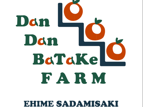 新甘夏（訳あり・9kg）