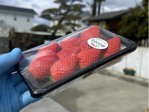 令和4年度 農林水産大臣賞受賞！ご家庭用いちご「やよいひめ」少量パック4トレー（約600 g）