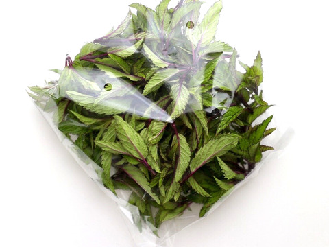 無農薬*フレッシュ タイミント 50g