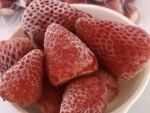 【いちご農家直送】冷凍いちご5kg 小分け500g×10袋｜ジャム用・スムージー用・かき氷・いちごミルクに最適
