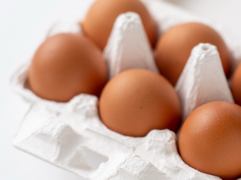 大寒たまご(赤)×36個✨‼️年に1度の縁起物‼️✨