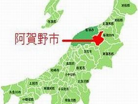 長期保存可能な真空パック　無洗米　大粒で　粒感がありしっかりとした食感　冷めても固くなりにくい新米　新潟県のお米のトップブランド　新之助（新潟県認証銘柄）　白米5kg ×2個★農家直送★色彩選別