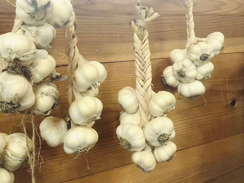 【農薬不使用】京都美山産 にんにく　6個(約450~500g)