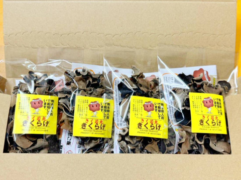 熊本県人吉産🐻4袋 x S20g 乾燥きくらげ たっぷり ポスト投函【20g×4袋】(熊本県産・人吉)