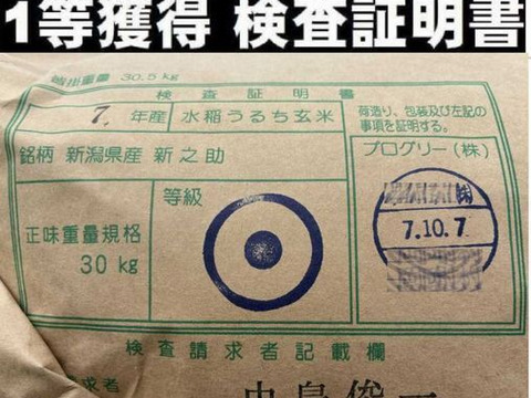 長期保存可能な真空パック　無洗米　大粒で　粒感がありしっかりとした食感　冷めても固くなりにくい新米　新潟県のお米のトップブランド　新之助（新潟県認証銘柄）　白米5kg ×2個★農家直送★色彩選別