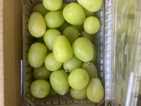 シャインマスカット粒2.0kg