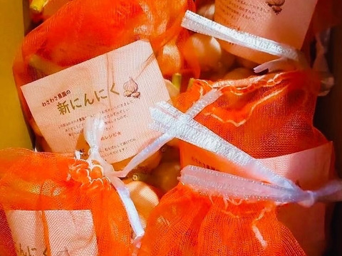 《新鮮でみずみずしい‼︎》農薬科学肥料不使用✴︎採れたてにんにく1kg ✴︎