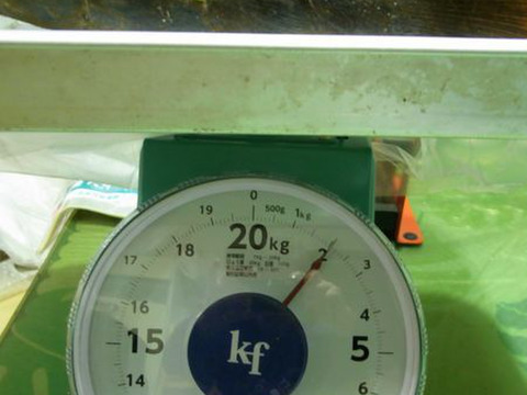 【最短発送】兵庫産朝掘りたけのこ２．０kg