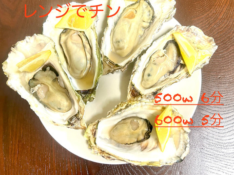 奥能登石川県穴水産　真牡蠣　約２．５キロ殻付き　容器：発泡スチロール　個数（約１５個前後）　里海の恵みで育った、旨味が詰まった美味しい真牡蠣（加熱用）