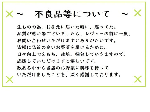 おまかせ採れたて新鮮な夏野菜のセット　4〜6品目