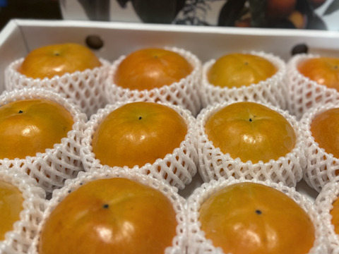 【贈答用】和歌山県産　富有柿〔2L〕【冬ギフト】12個入り